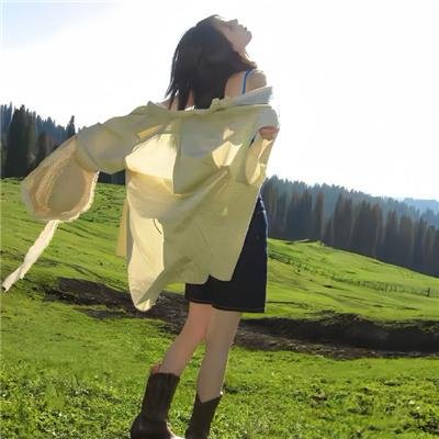莓之破片海报