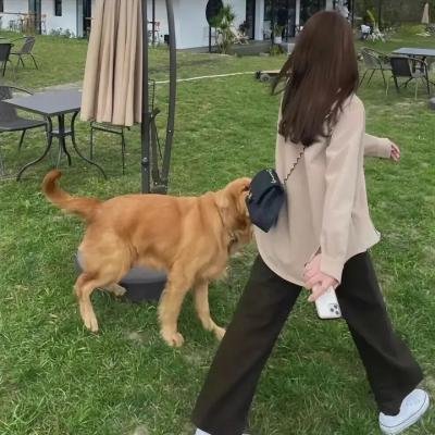 不可思议的融化人海报